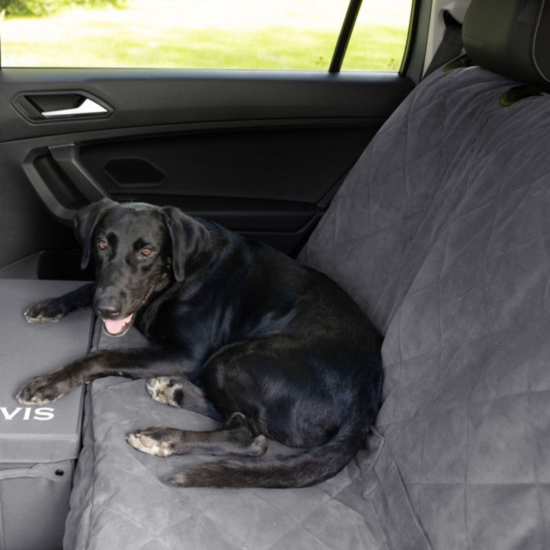 Dog Backseat Extender with Storage