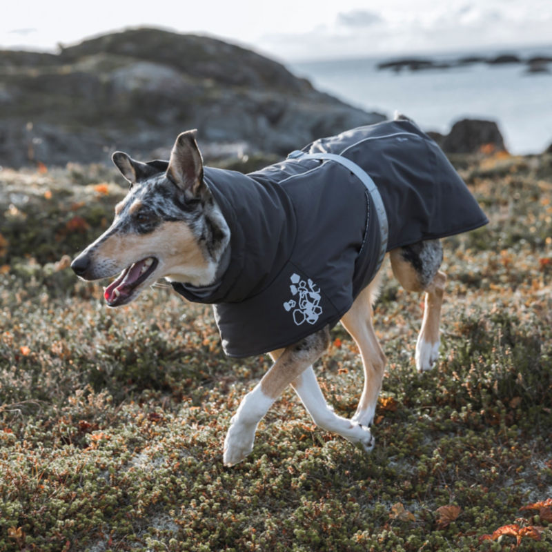 Hurtta Extreme Warmer Dog Coat