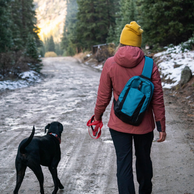 Tough Trail Dog Sling Pack