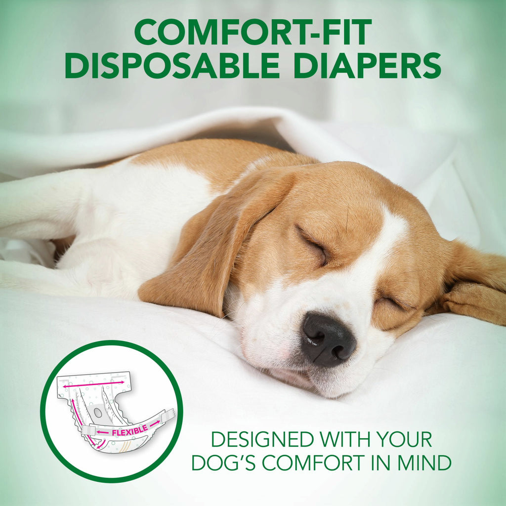 Vet's Best Diapers with Tail-Hole for Female Dogs, Comfort-Fit Disposable, Small, 12 Count, 6 Pack - 