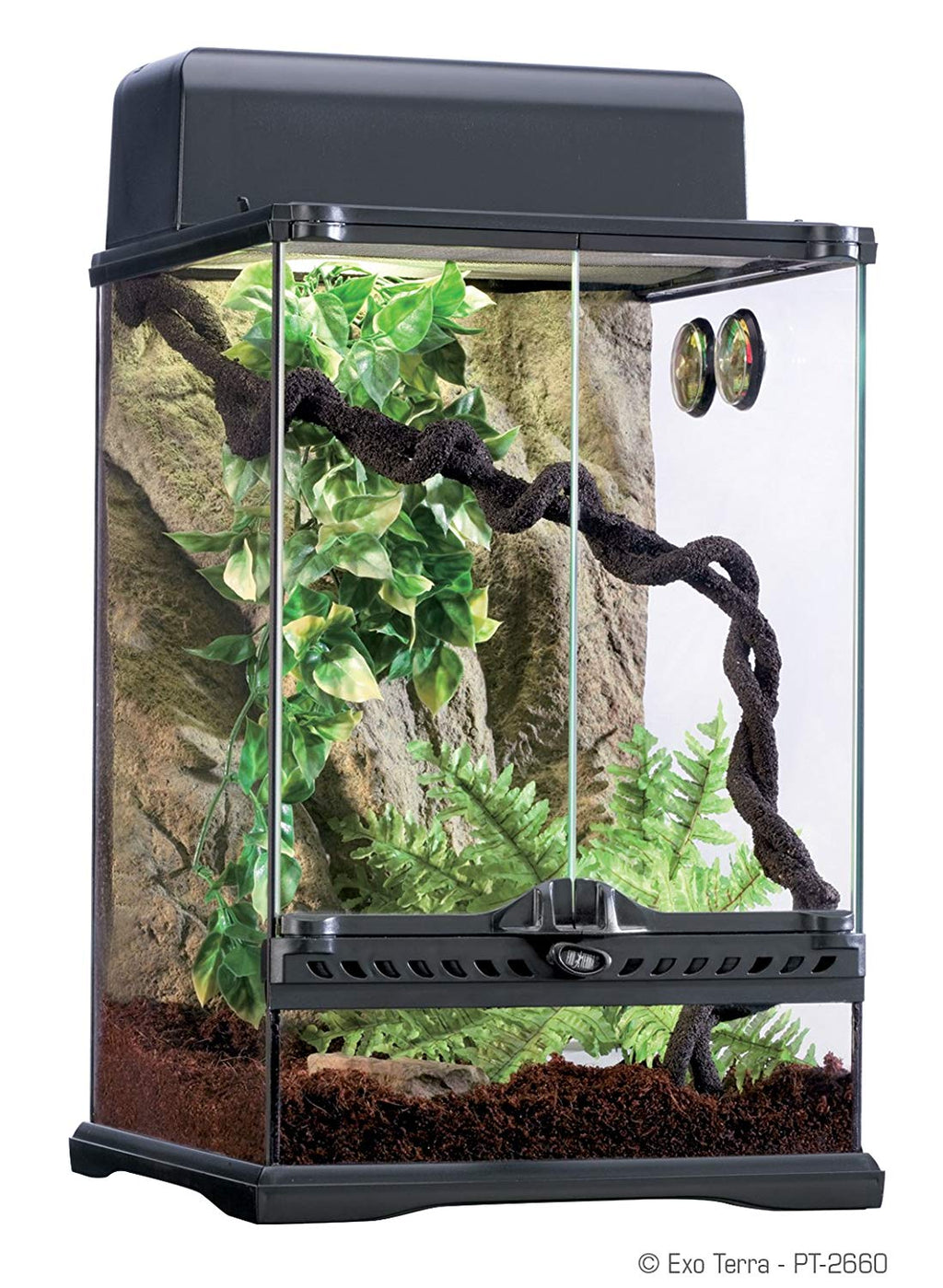 Exo Terra Rainforest Habitat Kit, Small - 