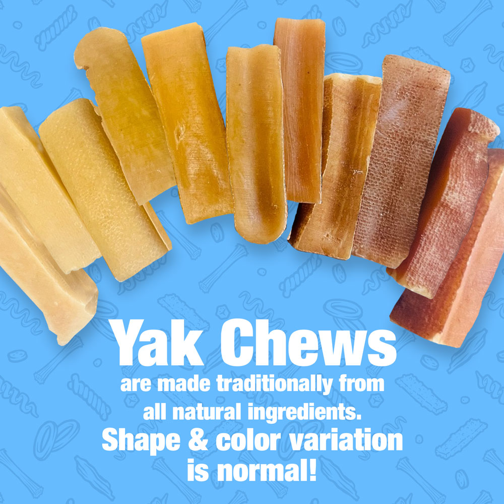 Himalayan Yak Cheese Dog Chews, Medium, 10 lb - Long-Lasting for Aggressive Chewers, All Natural, Healthy & Safe, Low Odor Nepal Yak Milk Chews 